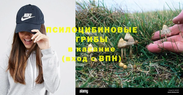 метадон Липки