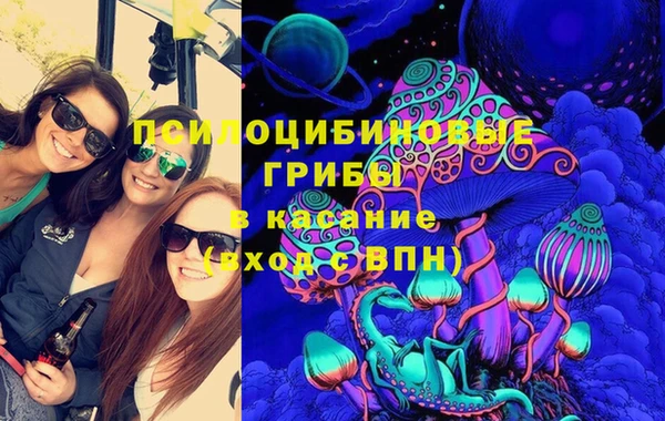 индика Лиски