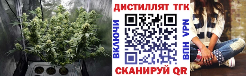 ТГК гашишное масло  Александровск 